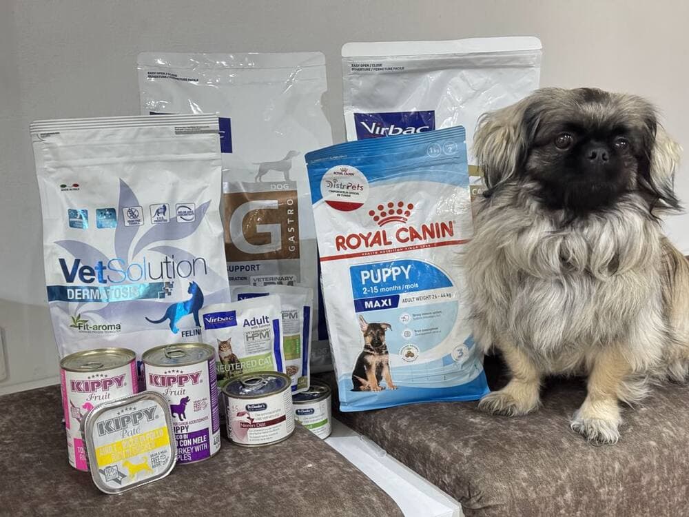 Aliments vétérinaires et un chien